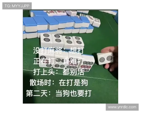 我赌5毛钱，《陷阱》的结局你绝对猜不到！