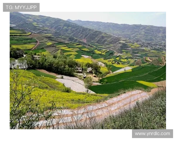 刺陵：一曲荡气回肠的英雄挽歌，一段荡涤灵魂的史诗传奇