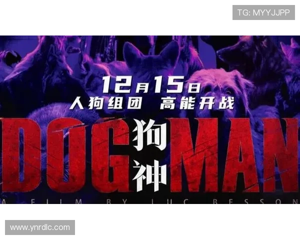 狗神豆瓣：一个关于爱、忠诚与陪伴的温暖传奇