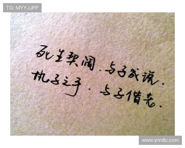 与子成说：一场关于承诺与共鸣的心灵之旅